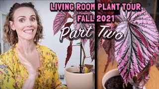 PLANT TOUR 2021  Houseplants in my living room  Part two Begonias and more [upl. by Ttevi959]