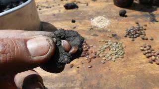 Biochar Seedballs Kenya Overview [upl. by Ozzie]