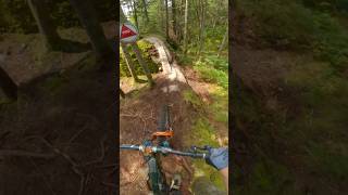 Pro lines galore on this trail mtb mountainbike mountainbiking [upl. by Franklyn]