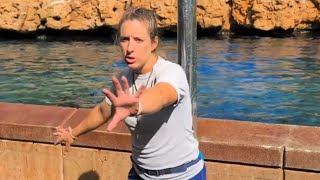 Dolphin Encounter at Seaworld Orlando [upl. by Hsihsa]