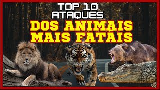 ATAQUE DOS ANIMAIS MAIS PERIGOSOS DO MUNDO mordidas animaisdaselva [upl. by Aritak116]