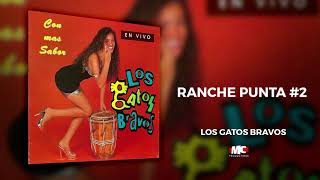 Los Gatos Bravos  Con más sabor  Ranche punta 2Audio Oficial Música Catracha [upl. by Adnilev]