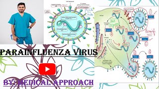 Parainfluenza Virus  Virology  Microbiology [upl. by Ytitsahc771]