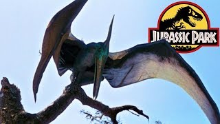 The History of the Pteranodon in the Jurassic Park Franchise [upl. by Netneuq]