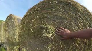 Loading And Hauling Round Bales [upl. by Jegar]