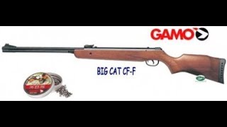 GAMO Big Cat CFF  Calibro 45mm [upl. by Brill]