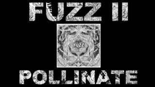 FUZZ  POLLINATE [upl. by Gerhan315]