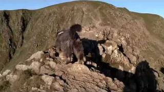 Striding across Striding Edge to Helvellyn in the Lake District HD full version [upl. by Aneeuq]