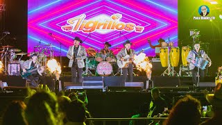 LOS TIGRILLOS EN VIVO DESDE GENERAL TERÁN NUEVO LEÓN 2023 [upl. by Boykins609]