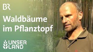 Junge Waldbäume im Pflanztopf Unser Land  BR Fernsehen [upl. by Odnam597]