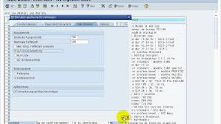 SAP se16XXL top flow table wizard  Einführung [upl. by Nailij]