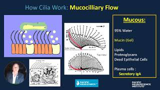 Eustachian Tube Dysfunction amp Middle Ear Disease Anatomy Physiology Current ET Dilation Surgery [upl. by Shelby]