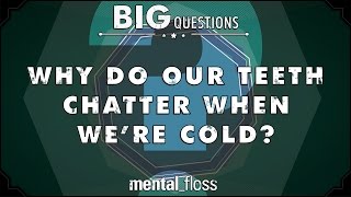 Why do our teeth chatter when were cold  Big Questions Ep 14 [upl. by Nah459]