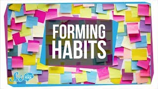 How to Form a Habit [upl. by Hulda]