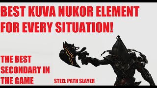 BEST Kuva Nukor Elements For Endgame and How To Decide l Warframe Deadlock Protocol [upl. by Irved]