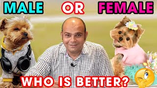 Differences Between Male and Female Puppy Dogs  Dog Info and Comparison  By Baadal Bhandaari [upl. by Ecnal465]