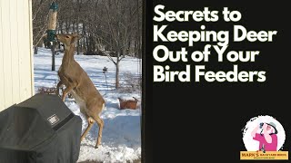 Keep Deer Out  4 ways [upl. by Suryc]