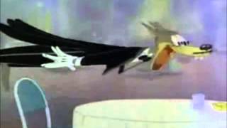 Tex Avery Wolf goes crazy [upl. by Otreblanauj]