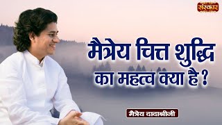 मैत्रेय चित्त शुद्धि का महत्व क्या है   Maitreya Dadashree Ji  Motivational Pravachan  SanskarTV [upl. by Bbor763]