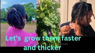 Fast Track to Fabulous 10 Proven Ways to Grow and Thicken Your Hair [upl. by Rayburn916]