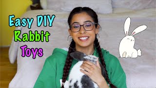 3 Easy DIY Rabbit Toys for Your Bunny [upl. by Earej]