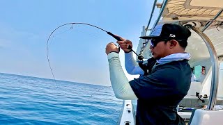 TEST REEL amp ROD LIGHT JIGGING TERBARU DAIWA 24CERTATE LT4000DCXHARK [upl. by Nochur]