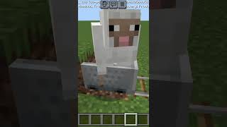 Killing sheep but at what cost shorts trending minecraft shortsfeed gaming subscribe [upl. by Baptiste490]