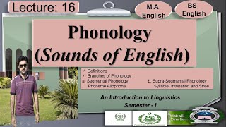 Phonology  Branches of Phonology  Lecture 16 LinguisticsI [upl. by Calder]