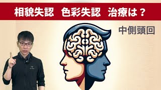 【☑︎高次脳】相貌失認色彩失認中側頭回腹側経路what経路側頭葉記憶障害【第12回】 [upl. by Ecinom]