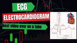 ECG Electrocardiogram for neet Best ever explanation on YouTube biology neet bestvideo viral [upl. by Ytineres]