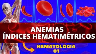 ANEMIAS  ÍNDICES HEMATIMÉTRICOS ENTENDA AS ANEMIAS  HEMATOLOGIA [upl. by Renate]