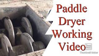 Paddle Dryer working Video Sludge dryer video Sludge machine Dewatering STP [upl. by Gnep743]