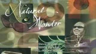 Stevie Wonder  Pastime Paradise Live [upl. by Annavoj]