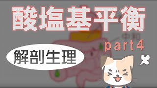 酸塩基平衡パート4【pH異常の病態生理】 [upl. by Landbert]