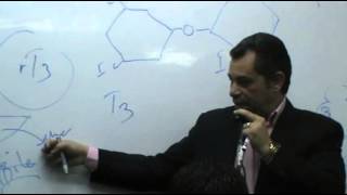 Dr Ahmed Abd El Rahman  Hormones 3  Thyroid Gland  Part 1 [upl. by Anavrin415]