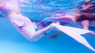 Three Mermaids Hit the Pool  mermaid swimming vlog [upl. by Ztnarf172]