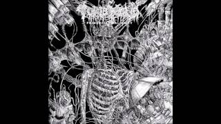 Tomb Mold  Primordial Malignity 2017 [upl. by Seely]