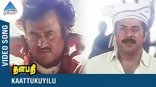 Rajinikanth Song  Kaattukuyilu Video Song  Thalapathi  Mammootty  Yesudas  SPB  Ilayaraja [upl. by Anerroc]