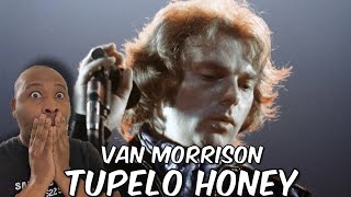 First Time Hearing  Van Morrison  Tupelo Honey Reaction [upl. by Neibart]