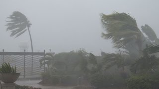 Strong Winds Torrential Rain  Typhoon Noul 4K Stock Footage Screener [upl. by Inalej]