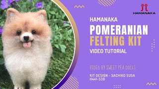 Hamanaka Pomeranian Felting Kit Tutorial Video [upl. by Suhcnip]