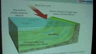 Ocean Upwelling and Downwelling [upl. by Domonic]