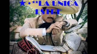 ✳✬LA UNICA ESTRELLA✳✬ VICENTE FERNANDEZ [upl. by Devy]