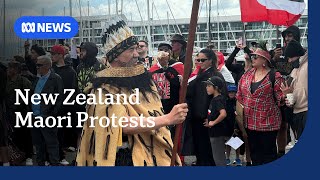 Maori protest descends on NZ parliament over treaty debate  ABC NEWS [upl. by Anders587]