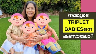 നമ്മുടെ TRIPLETS BABIESന്റെ 1ST BIRTHDAY CELEBRATIONS VLOG [upl. by Nibbor174]