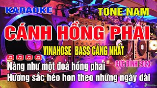 Karaoke Cánh Hồng Phai Tone Nam Remix  Bass mới mạnh mẽ [upl. by Kela]