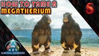 ARK SURVIVAL ASCENDED HOW TO TAME A MEGATHERIUM [upl. by Ardnasxela]