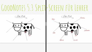 GoodNotes 53 SplitScreen als Lehrer im Unterricht ausnutzen [upl. by Barbara]