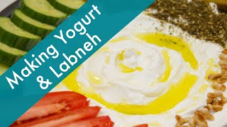 How to Make Yogurt and Labneh at Home [upl. by Denver]