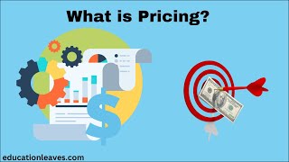 What is Pricing in marketing  Pricing strategies [upl. by Artemisia]